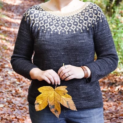 Sitemapcdatahttpsgutecellcare1commodele De Pull Jacquard A Tricoter Avec Explication
