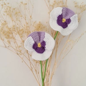 Deux fleurs au crochet, violettes, blanches et jaunes, aux tiges vertes, sont disposées sur un fond uni, mises en valeur par un délicat feuillage séché de couleur beige en arrière-plan.